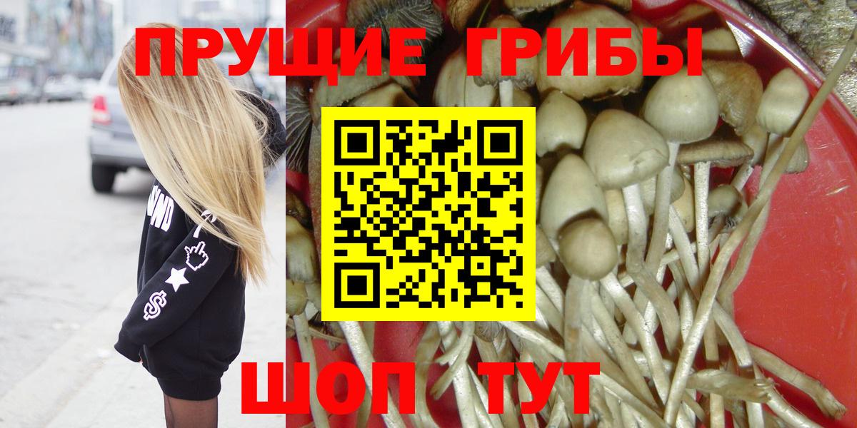 Галлюциногенные грибы GOLDEN TEACHER Медногорск